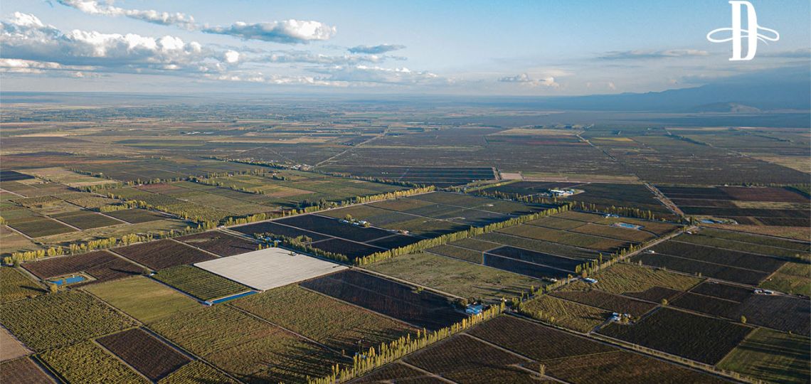 Vinos de lugares