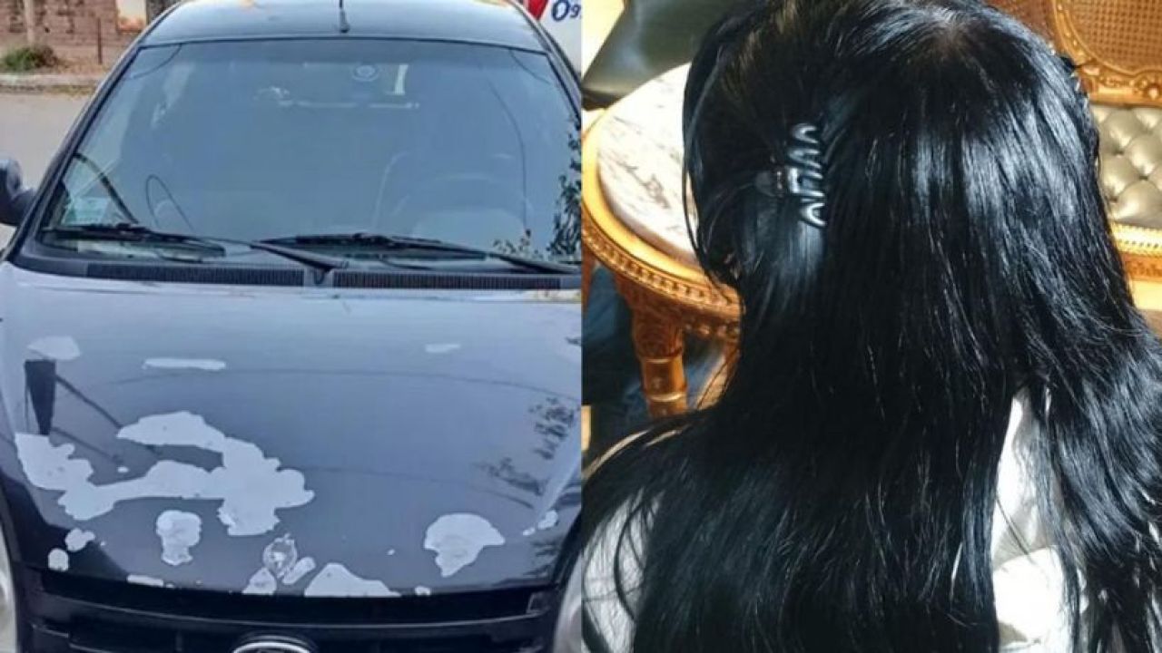 Nueva detenida en el caso Agostina Vega: detuvieron a Soledad Andreani por el auto que usó Barrelier para tras...