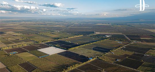 Vinos de lugares