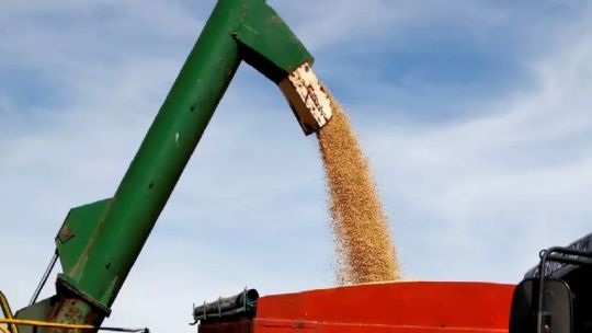 “Este año está proyectado una exportación récord”, afirmó un ex secretario de Agricultura sobre la liquidación del agro