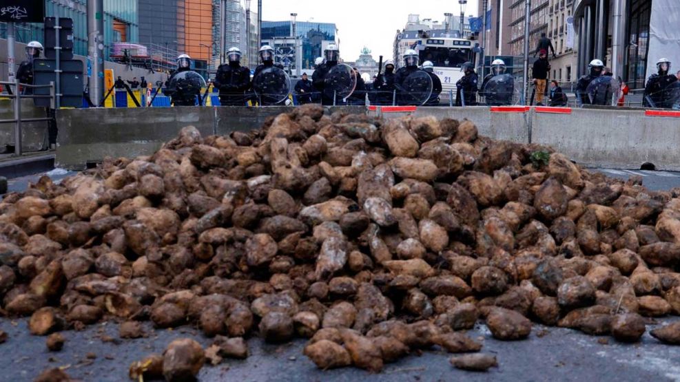 Tiran toneladas de papas en europa 02062026