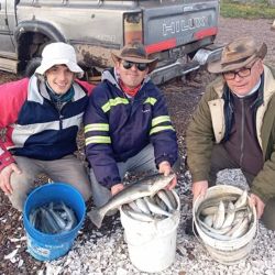 El foco de atención está puesto en el pejerrey panzón, que hoy concentra buena parte del esfuerzo pesquero. Si bien todavía no aparecieron aquellos ejemplares que en temporadas anteriores superaban holgadamente los 800 gramos, sí se observan importantes cardúmenes de peces que oscilan entre los 400 y 500 g.