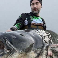 Lo más llamativo de esta historia es que el récord anterior pertenecía a uno de sus mejores amigos y compañero habitual de jornadas de pesca, Paul Breems, quién había logrado establecer la mejor marca del país con un ejemplar de 2,47 m, mejorando a su vez un récord previo de 2,42 m. 