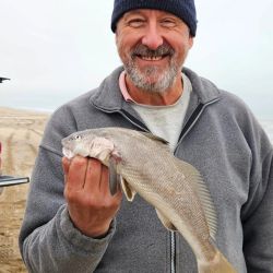 Uno de los grandes atractivos de la burriqueta es que no exige equipos sofisticados ni grandes lances. Por el contrario, suele encontrarse relativamente cerca de la orilla, permitiendo utilizar cañas livianas y equipos cómodos que multiplican el disfrute durante el combate.