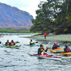 Luego de 30 años, en el Parque Nacional Los Alerces, Chubut, se volvió a vivir la tradicional travesía en kayaks y canoas por aguas abiertas con fines recreativos, turísticos y comunitarios.