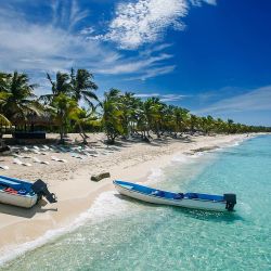 Isla Catalina, a la que se llega en crucero de MSC.