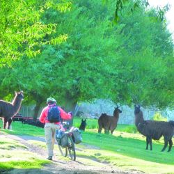 Pedaleando a 2.300 msnm en la Pampa de Achala.