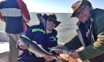 Escardones, panzones y cornos, el plan de junio en Bahía San Blas