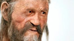 Aparecieron los restos de un hombre asesinado hace 5.300 años