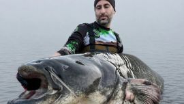 Lo más llamativo de esta historia es que el récord anterior pertenecía a uno de sus mejores amigos y compañero habitual de jornadas de pesca, Paul Breems, quién había logrado establecer la mejor marca del país con un ejemplar de 2,47 m, mejorando a su vez un récord previo de 2,42 m.