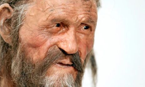 Aparecieron los restos de un hombre asesinado hace 5.300 años