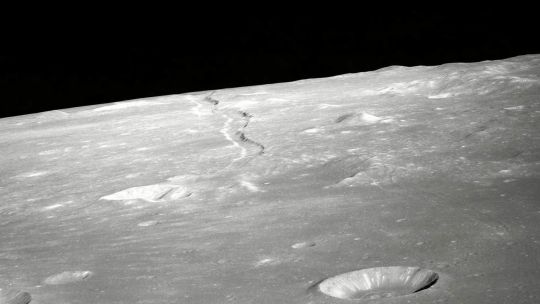 La NASA descubrió que hongos y bacterias terrestres podrían sobrevivir en la Luna