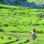 0603_pampadeachala