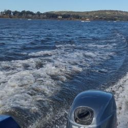 La pesca del pejerrey ofrece innumerables variantes y cada ámbito presenta desafíos diferentes. Por eso, contar con una valija bien equipada y una variedad de líneas correctamente armadas puede marcar la diferencia. 