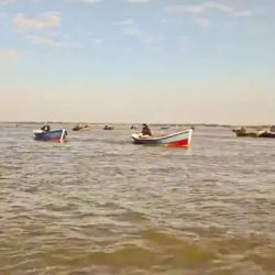 El levantamiento de la veda se produjo en medio de una fuerte tensión con los pescadores comerciales. 