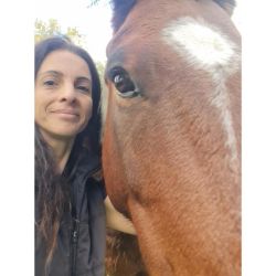 El caballo como un espejo emocional inmediato | Foto:CONTENT NOTICIAS