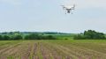 Drones