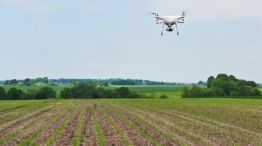 Drones