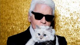 La increíble historia de Choupette, la gata de Karl Lagerfeld que heredó una fortuna millonaria pero nunca la recibió