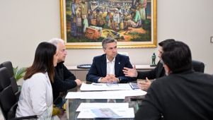 Gabinete provincial
