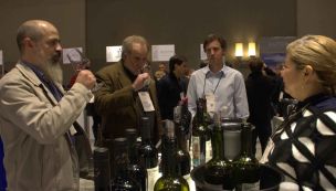 Bodega Salituro Wines