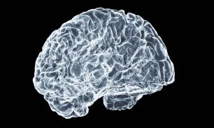 Un estudio demuestra que los microplásticos pueden llegar al tejido cerebral