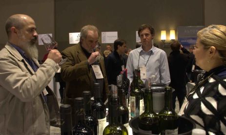 Bodega Salituro Wines