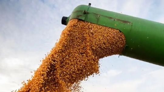 El Gobierno confirmó la baja de las retenciones: “Lo importante es la señal de seguir bajando impuestos al agro”