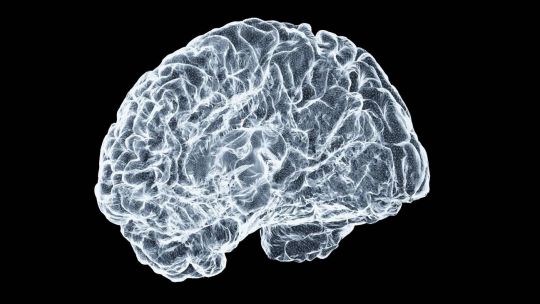 Un estudio realizado por científicos brasileños halló microplásticos en el tejido cerebral de cadáveres