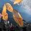 Fotogaleria Los aldeanos recogen las ofrendas que los devotos hindúes de la comunidad Tengger arrojan al cráter del monte Bromo durante el festival Yadnya Kasada cerca de Probolinggo, Indonesia