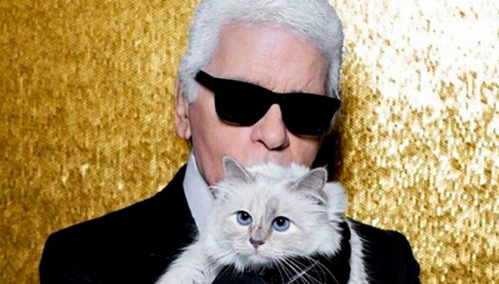 La increíble historia de Choupette, la gata de Karl Lagerfeld que heredó una fortuna millonaria pero nunca la recibió