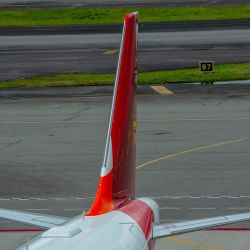 Avianca.