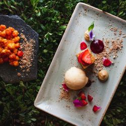 Finlandia y un concurso para probar su gastronomía in situ.