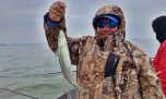 Llegó junio: así está la pesca en el país