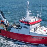 Grupo Newsan Glaciar Pesquera