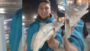 0605_burriquetas