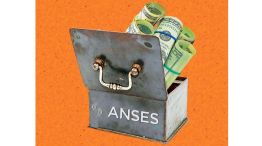 060626_anses_caudales_temes_g