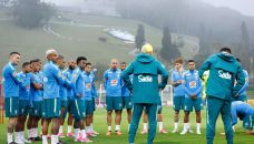 Selección de Brasil