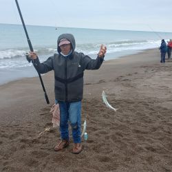 Para quienes planean visitar la región, El Cóndor aparece como una excelente alternativa para alojarse. Aunque durante el invierno la actividad turística disminuye considerablemente, cuenta con servicios básicos indispensables para los visitantes. 