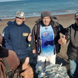Para quienes planean visitar la región, El Cóndor aparece como una excelente alternativa para alojarse. Aunque durante el invierno la actividad turística disminuye considerablemente, cuenta con servicios básicos indispensables para los visitantes. 