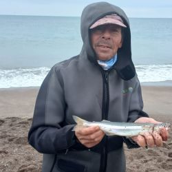 Para quienes planean visitar la región, El Cóndor aparece como una excelente alternativa para alojarse. Aunque durante el invierno la actividad turística disminuye considerablemente, cuenta con servicios básicos indispensables para los visitantes. 