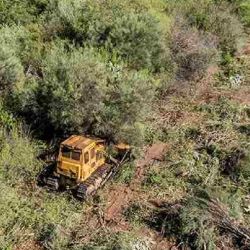 El fallo constituye un precedente de la mayor relevancia en materia de tutela judicial ambiental, cuya importancia excede el caso concreto del Chaco