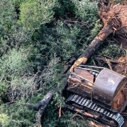 El fallo fue celebrado por las organizaciones ambientalistas.