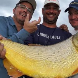 Cada año esta zona gana nuevos seguidores gracias a la calidad de su pesca y a la variedad de modalidades que permite practicar. Una propuesta muy completa para pescadores de distintos perfiles y niveles de experiencia.