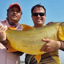 Cada año esta zona gana nuevos seguidores gracias a la calidad de su pesca y a la variedad de modalidades que permite practicar. Una propuesta muy completa para pescadores de distintos perfiles y niveles de experiencia.