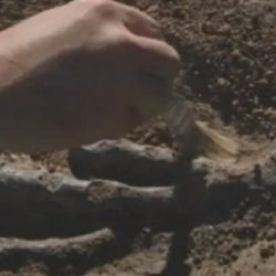 Los cuerpos datan de hace 7.000 años.