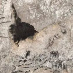 Su ADN reveló un linaje genético hasta ahora desconocido, 