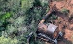 Un fallo judicial reactivó la protección ambiental de los bosques chaqueños
