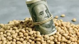 Dólar agro