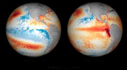El Niño 08062026